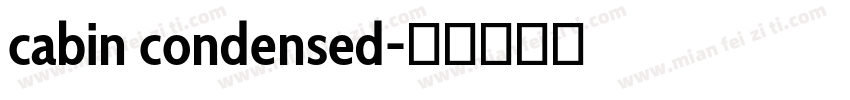 cabin condensed字体转换